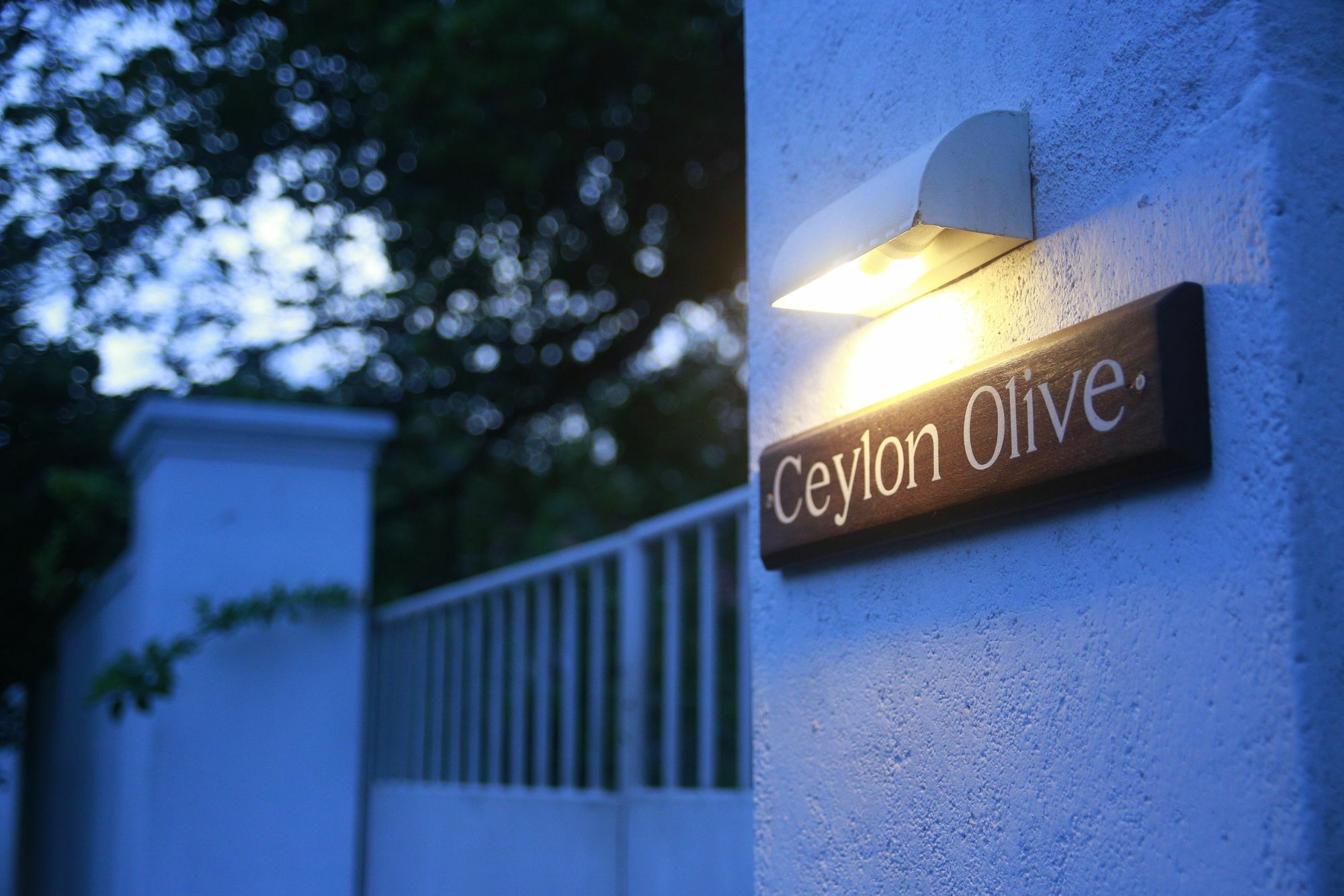 Ceylon Olive Galle Exterior photo