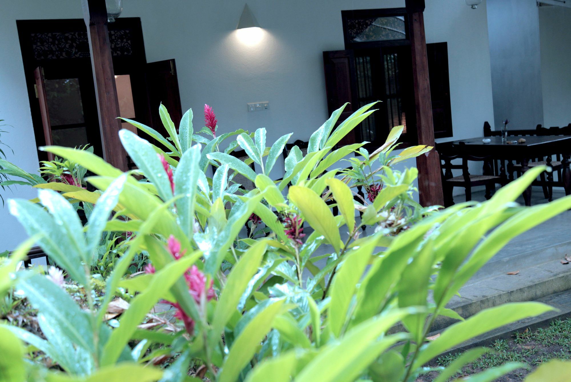 Ceylon Olive Galle Exterior photo