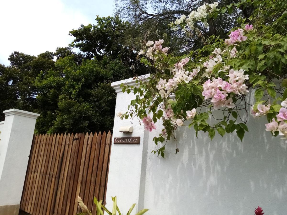Ceylon Olive Galle Exterior photo