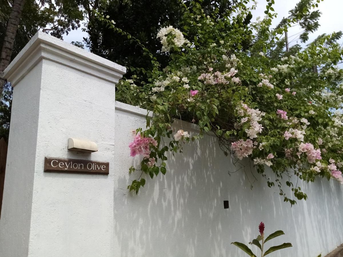 Ceylon Olive Galle Exterior photo